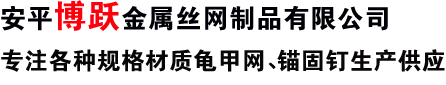 公司名